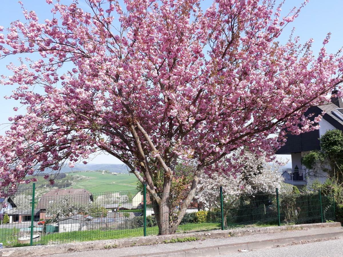 Haus Der Rosen Διαμέρισμα Boppard Εξωτερικό φωτογραφία